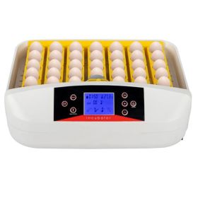 [same code: 66032192]42-Egg Practical Fully Automatic Poultry Incubator with Egg Candler US Standard Yellow & & White & Transparent